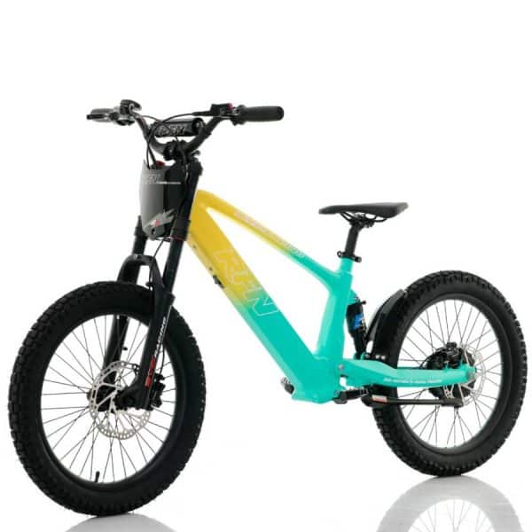 Bicicleta De Equilibrio sin Pedales RFX 20" 750W
