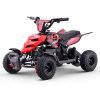 MiniQuad Electrico 500W Roan Raptor R4 - Thumbnail Image 27