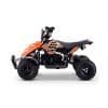 MiniQuad Electrico 500W Roan Raptor R4 - Thumbnail Image 25
