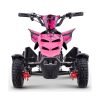 MiniQuad Electrico 500W Roan Raptor R4 - Thumbnail Image 3